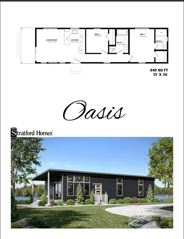 Oasis